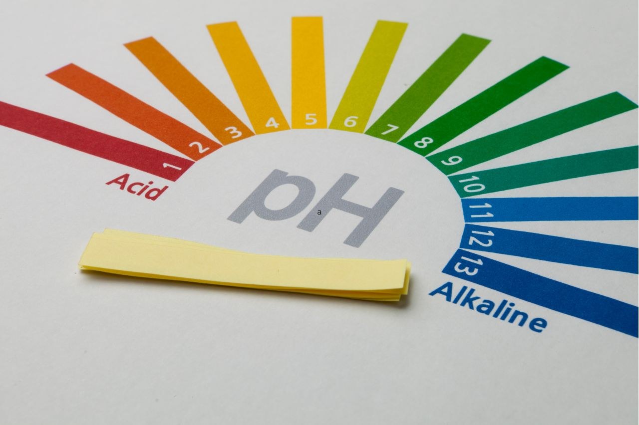 Dieta alkaliczna / zasadowa